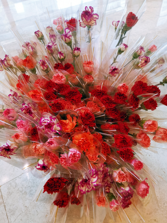 1590055116756278.png 5.png